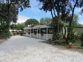 Camping Pineta Calambrone